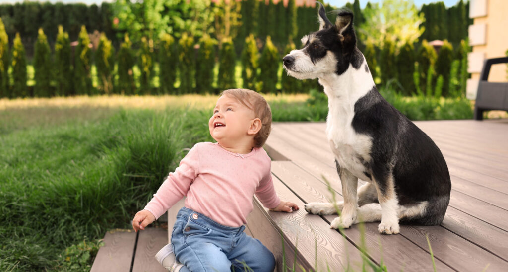 Adorable baby and furry little dog on wooden porch outdoors